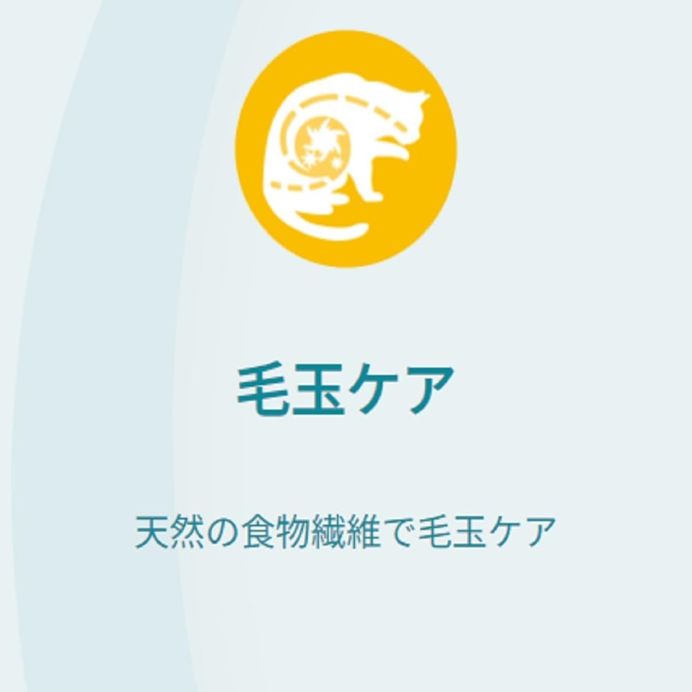 ピュリナワンキャット パウチ 避妊去勢した猫の体重ケア チキングレービー仕立て 50gx12袋x4箱