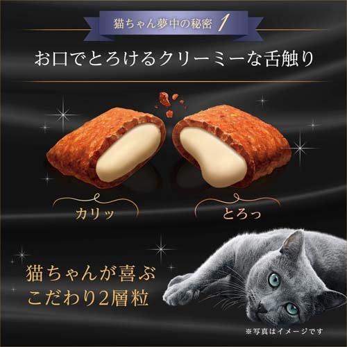 シーバ デュオ 15歳以上 香りのまぐろ味セレクション ( 200g )