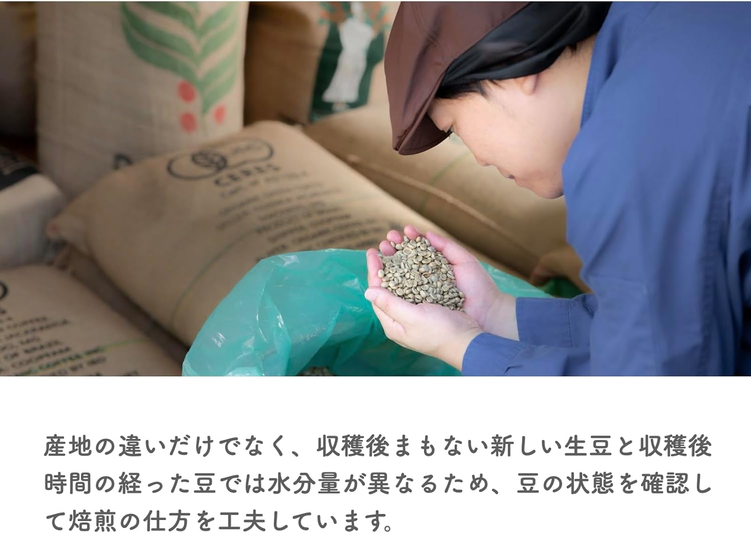 ウインドファーム オーガニック カフェインレス コーヒー 粉 自家焙煎 深煎り メキシコ産 200g フェアトレード レギュラーコーヒー カフェイン99.9パーセントカット
