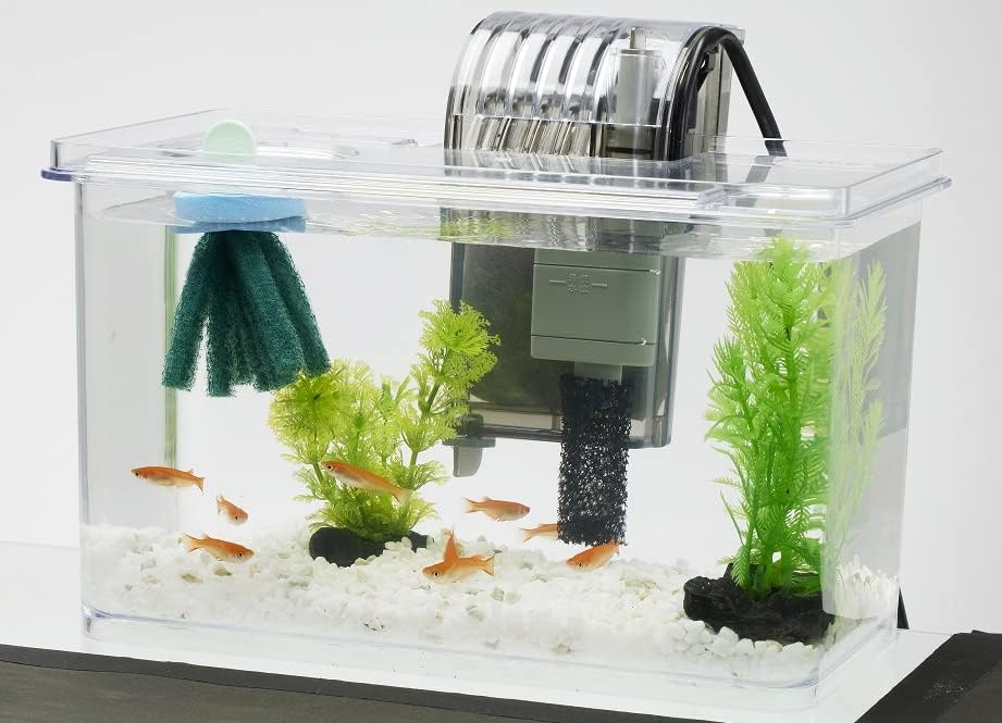 Tetra テトラ メダカの繁殖を楽しむセット L 水槽 アクアリウム 熱帯魚 メダカ 金魚 透明
