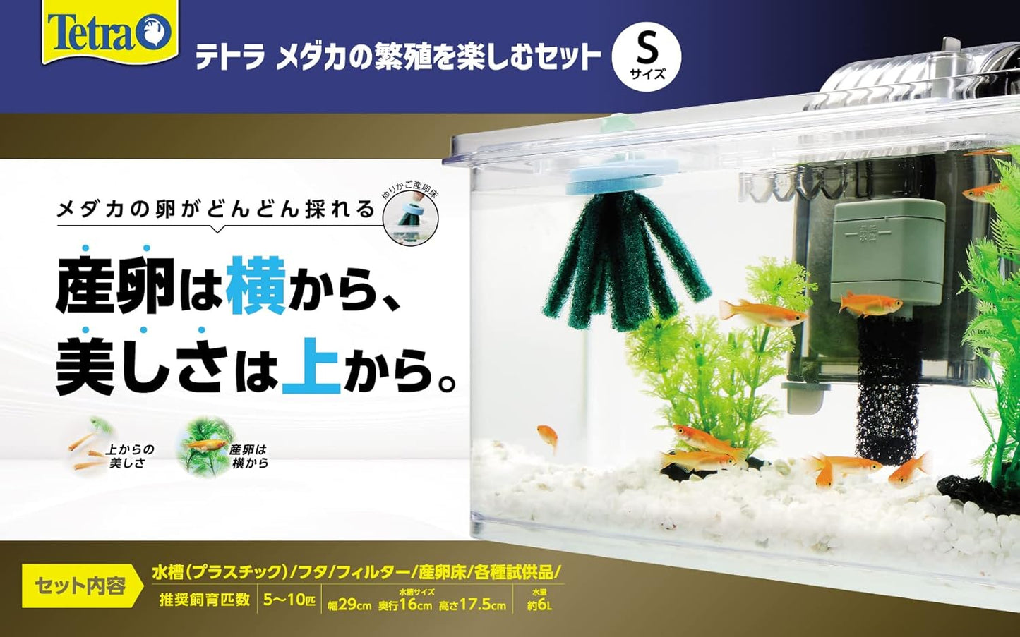 Tetra テトラ メダカの繁殖を楽しむセット L 水槽 アクアリウム 熱帯魚 メダカ 金魚 透明