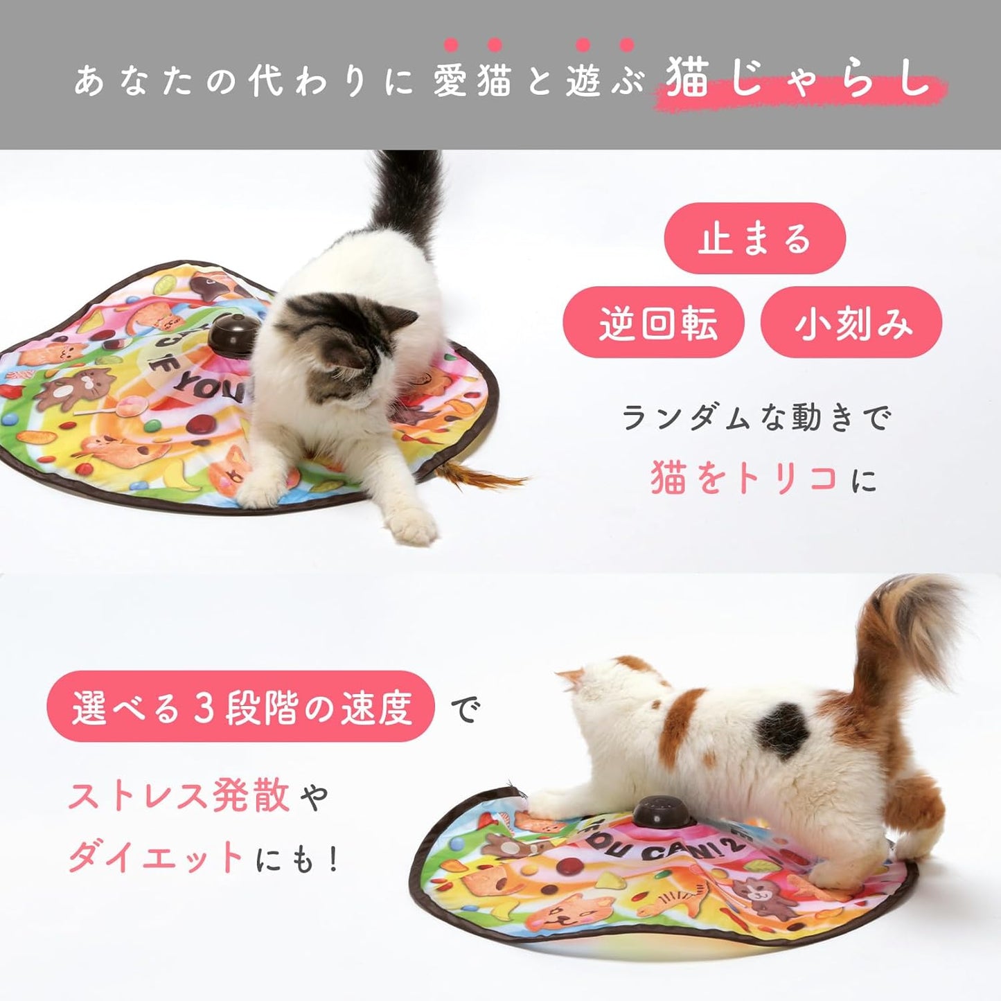 猫壱(necoichi) キャッチ・ミー・イフ・ユー・キャン2 猫用電動おもちゃ