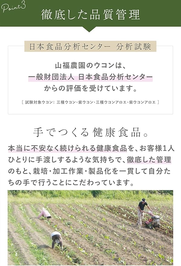 屋久島産 春ウコン 600粒 (2ヶ月分) ウコン サプリ 錠剤 小粒タイプ ミネラル 【無農薬・無化学肥料】国内製造