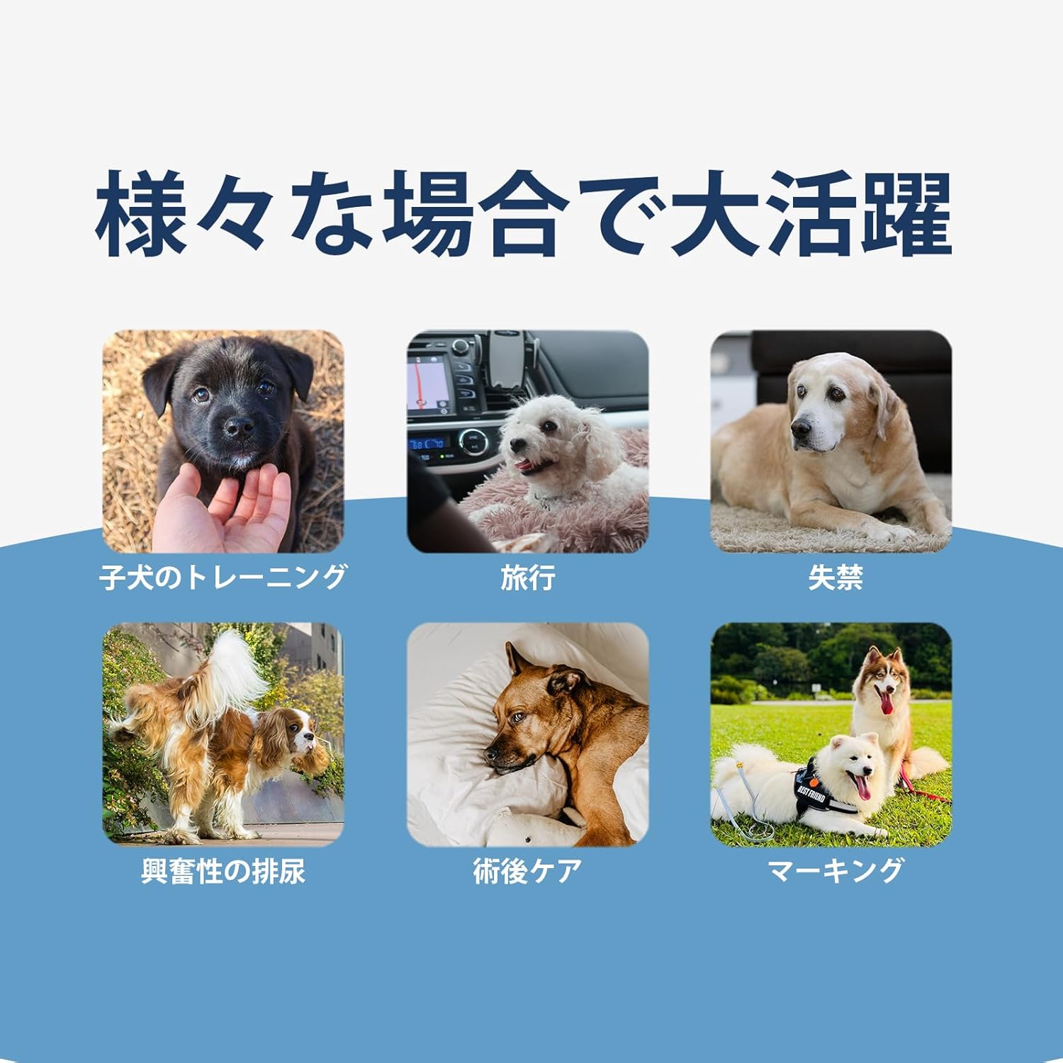 HONEYCARE ハニーケア 犬 おむつ 男の子用マナーおむつ おしっこ用 50枚入り ペット用 高吸収性 柄付き (M)