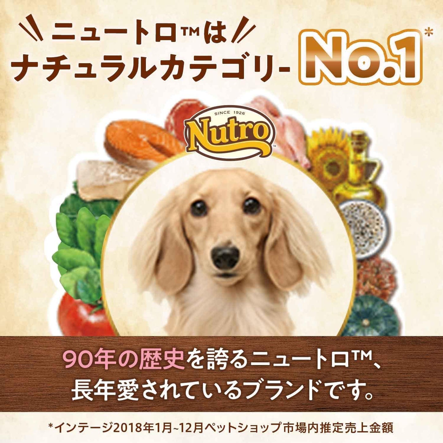 Nutro ナチュラルチョイス 子犬用 超小型犬~中型犬用 チキン& 玄米 3kg ドライフード ふやけやすい粒 総合栄養食 子いぬ用 パピー 妊娠中・授乳中の母犬にも 仔犬用 ドッグフード 犬 自然素材 香料・着色料 無添加 ニュートロ