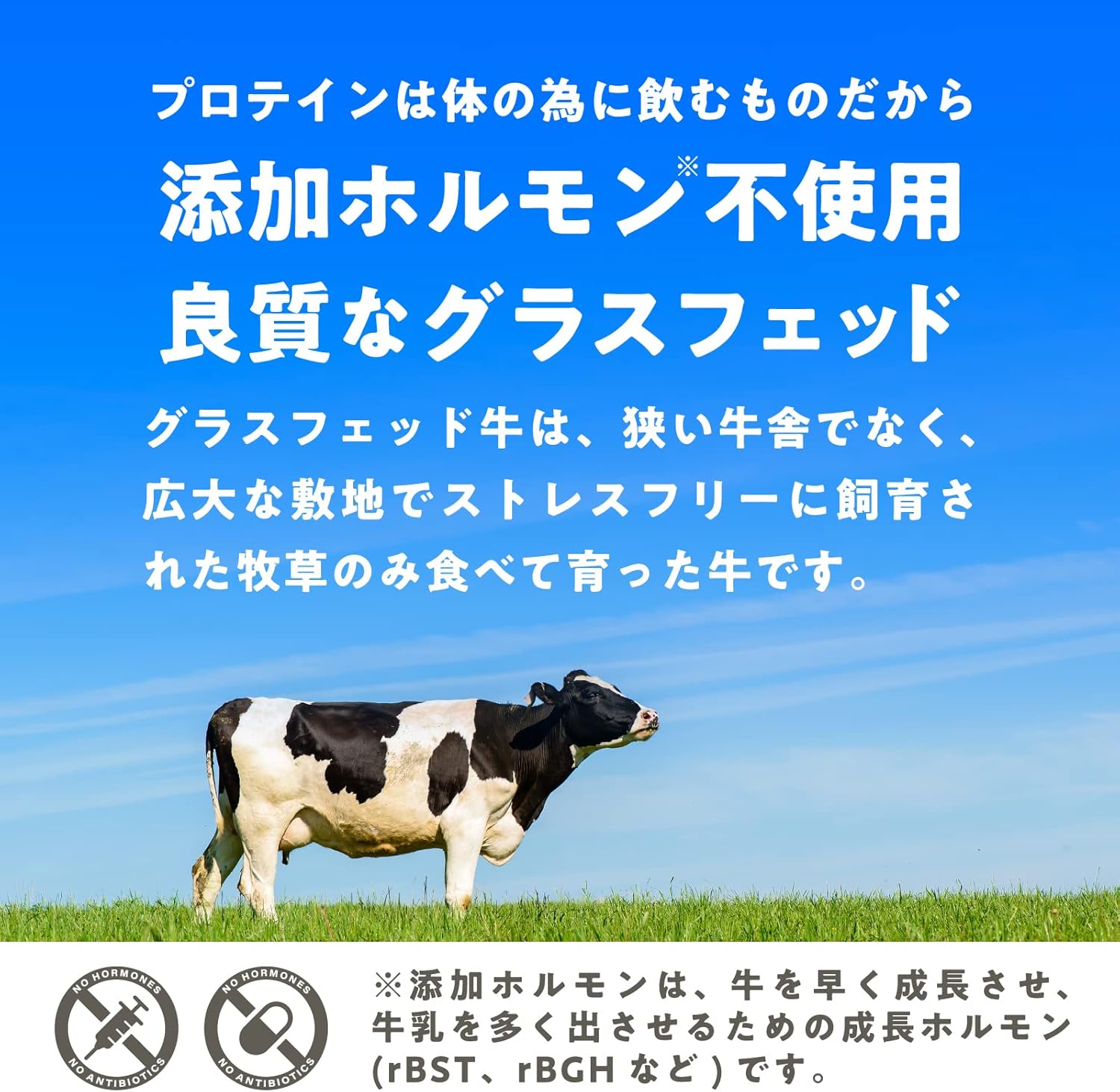 LOHAStyle(ロハスタイル) グラスフェッド ホエイプロテイン 無添加 プレーン 150g 人工甘味料不使用 お試し WPC