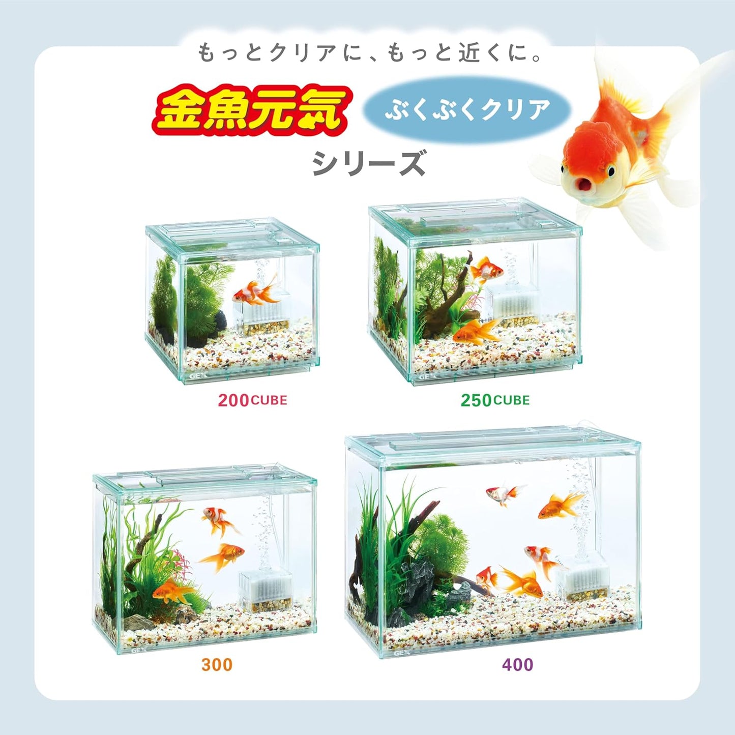 【パッケージ訳あり】ジェックス GEX 金魚元気 ぶくぶくクリアセット300 初めて飼育 簡単セット ロカボーイS付 インテリア性の高いクリアフレーム