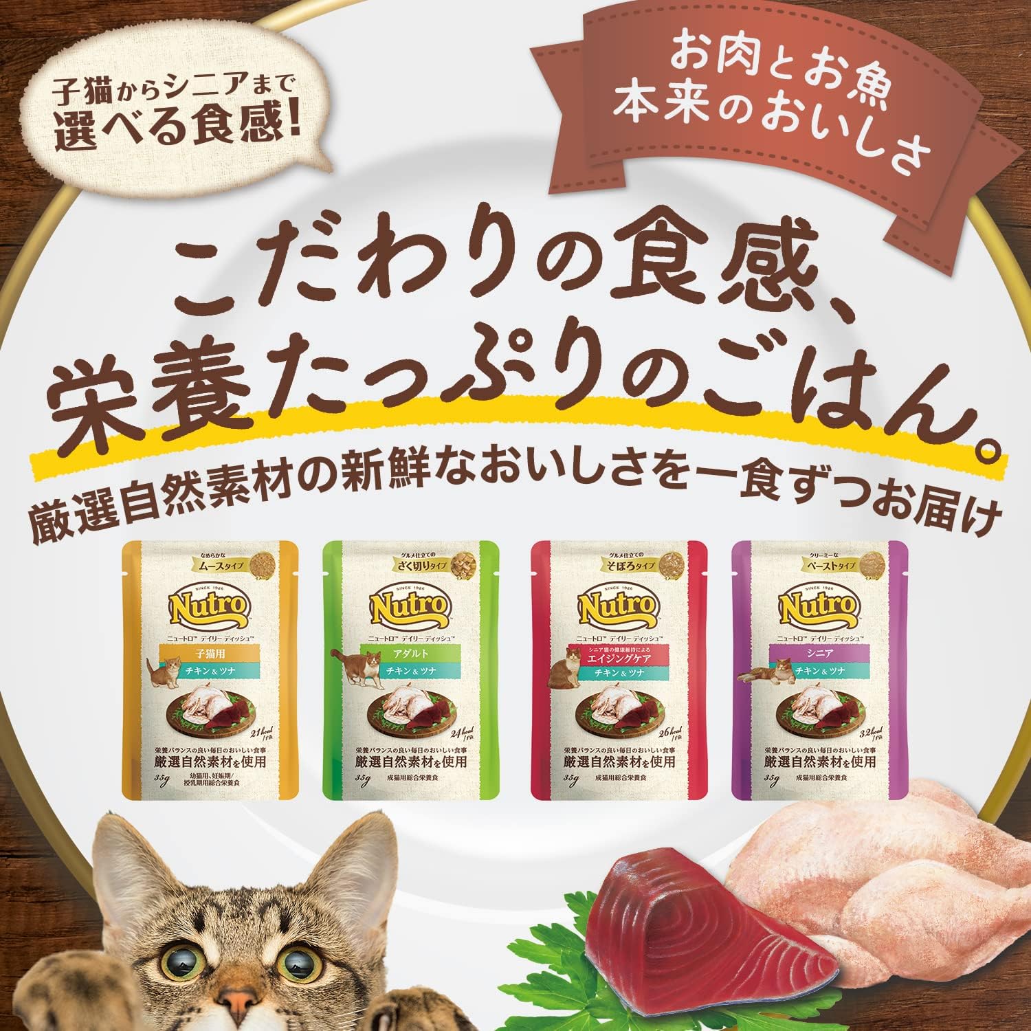 Nutro デイリーディッシュ ウェット なめらかムース  チキン&ツナ 子ねこ用 35g×12袋
