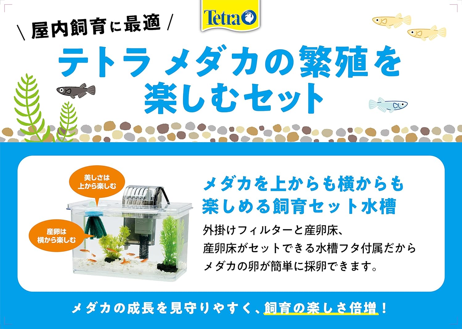 Tetra テトラ メダカの繁殖を楽しむセット L 水槽 アクアリウム 熱帯魚 メダカ 金魚 透明