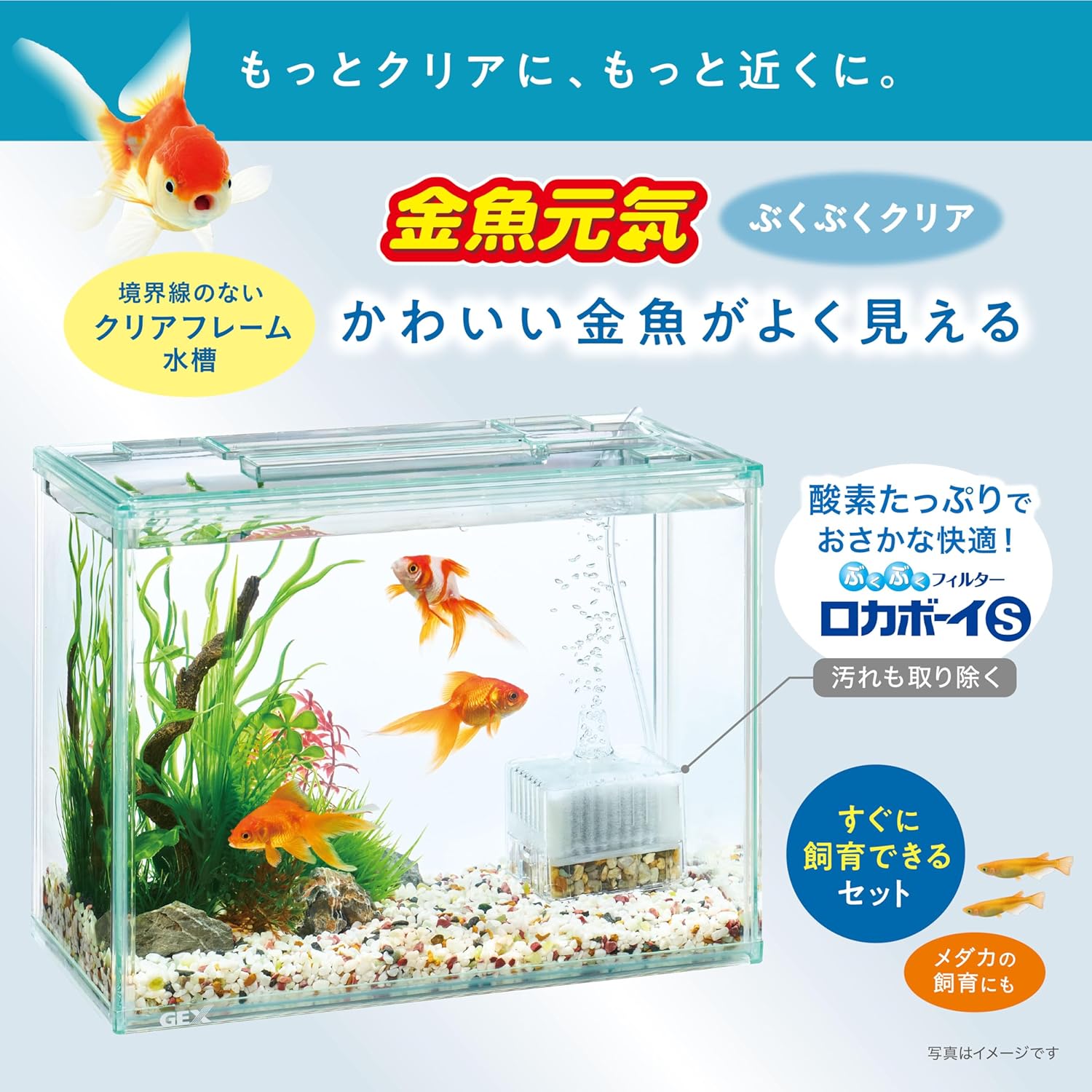 【パッケージ訳あり】ジェックス GEX 金魚元気 ぶくぶくクリアセット300 初めて飼育 簡単セット ロカボーイS付 インテリア性の高いクリアフレーム