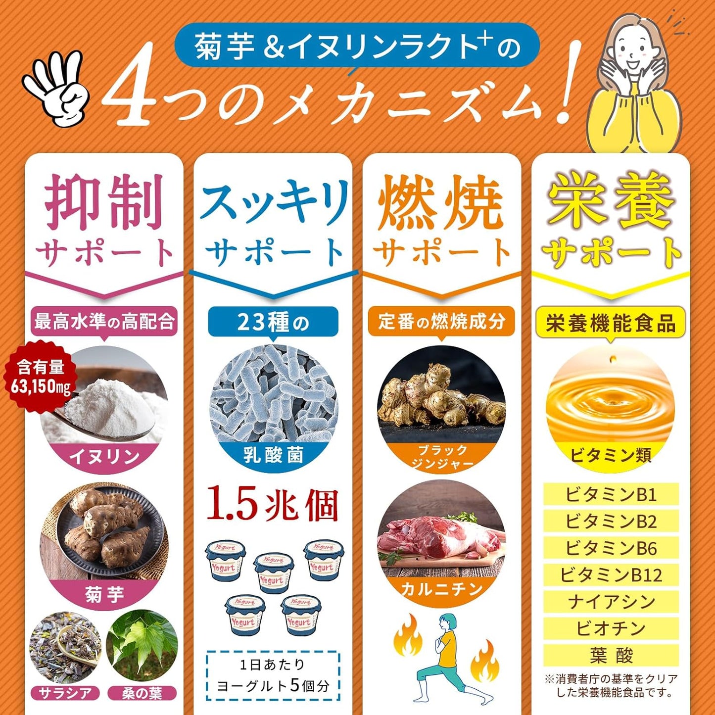 イヌリン 63,150㎎ 水溶性 食物繊維 菊芋 23種の乳酸菌 ビフィズス菌 1.5兆個 医師監修 栄養機能食品 ビタミンB群 サラシア 桑の葉 ブラックジンジャー カルニチン 30日分 WADS
