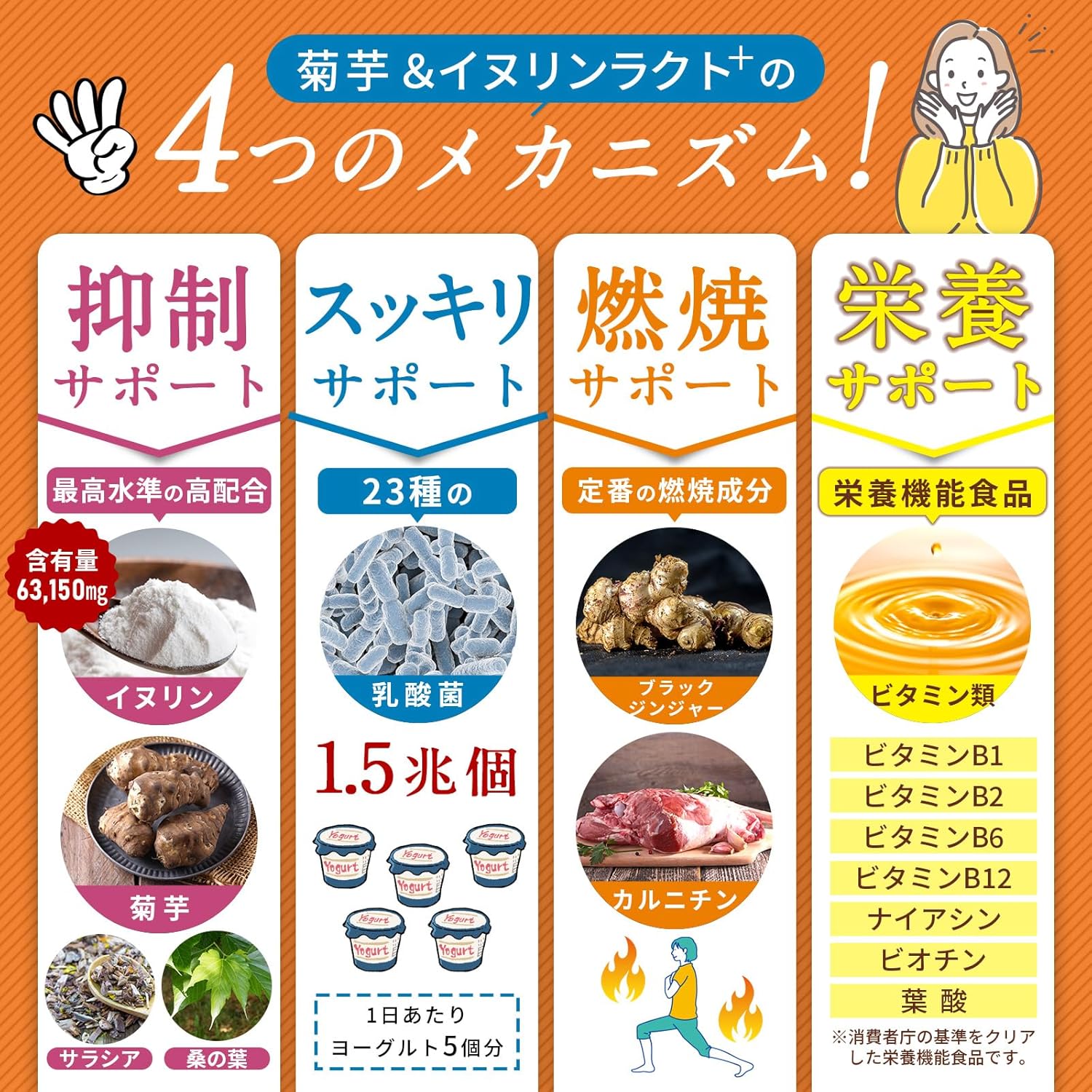 イヌリン 63,150㎎ 水溶性 食物繊維 菊芋 23種の乳酸菌 ビフィズス菌 1.5兆個 医師監修 栄養機能食品 ビタミンB群 サラシア 桑の葉 ブラックジンジャー カルニチン 30日分 WADS