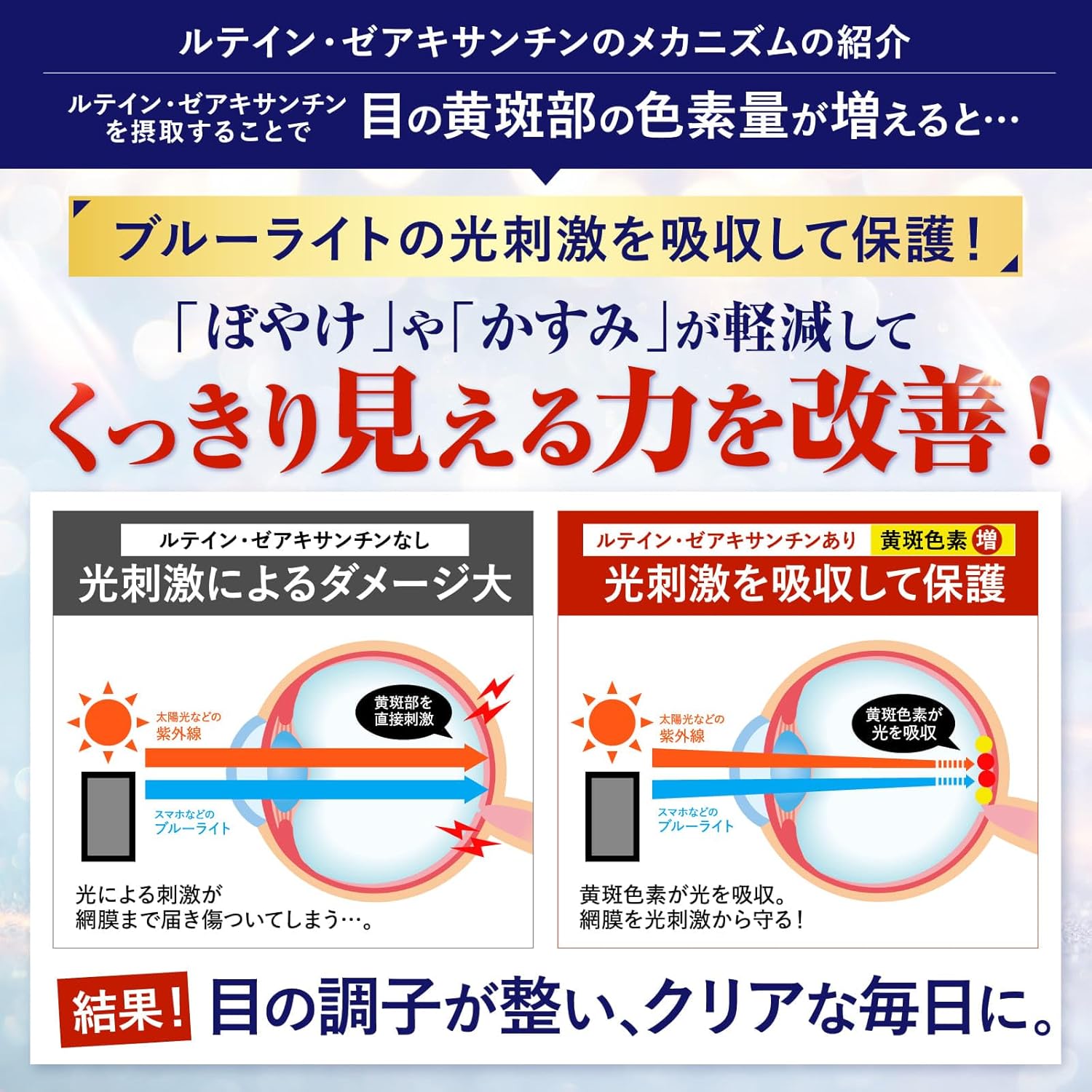 ルテインブルーライト対策 ルテイン ゼアキサンチン 紫外線やブルーライト光などの光ストレスから保護 機能性表示食品 新日本ヘルス 国内GMP認定工場 30粒 30日分
