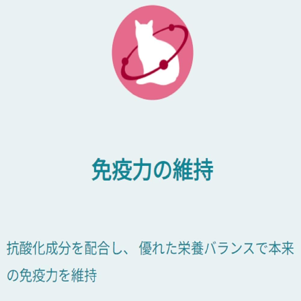 ピュリナ ワン キャット パウチ １歳までの子ねこ用／妊娠・授乳期の母猫用チキングレービー仕立て ５０ｇｘ１２袋