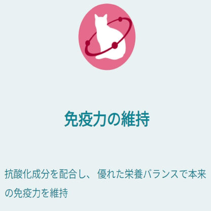 ピュリナ ワン キャット パウチ １歳までの子ねこ用／妊娠・授乳期の母猫用チキングレービー仕立て ５０ｇｘ１２袋