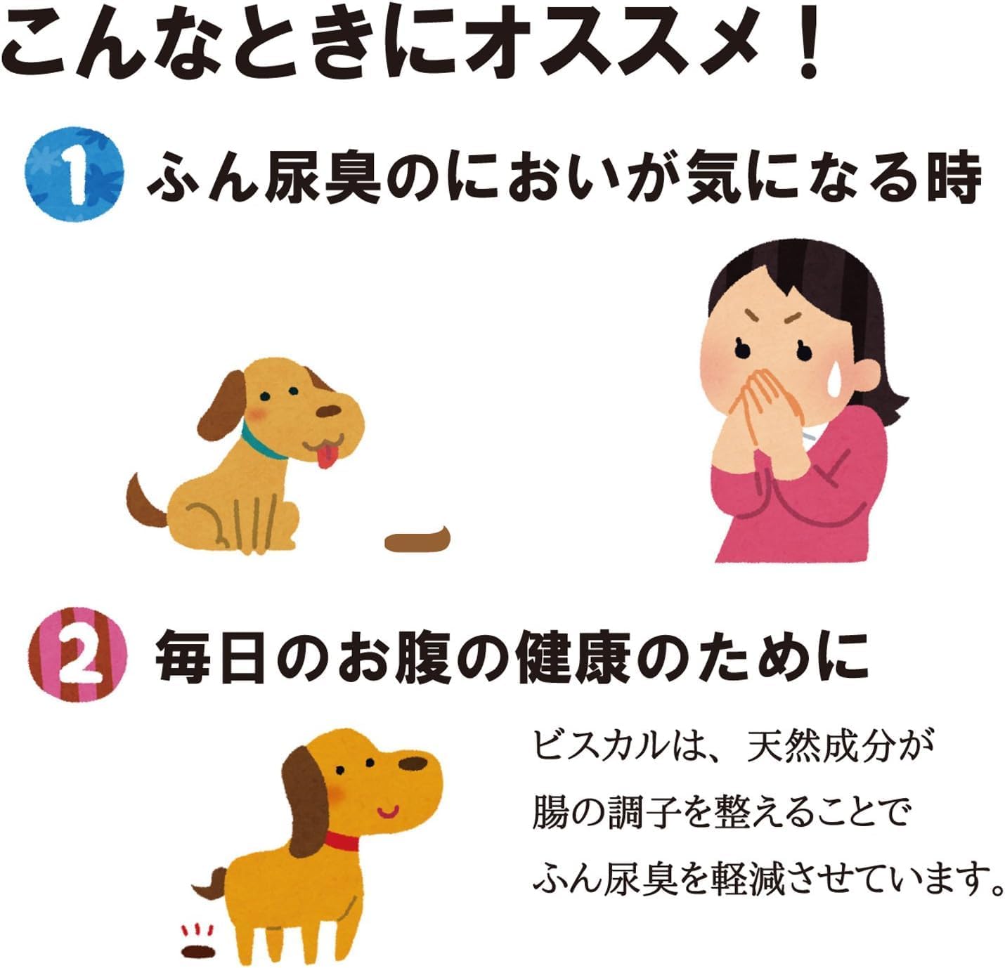 現代製薬 ビスカル 2.5kg