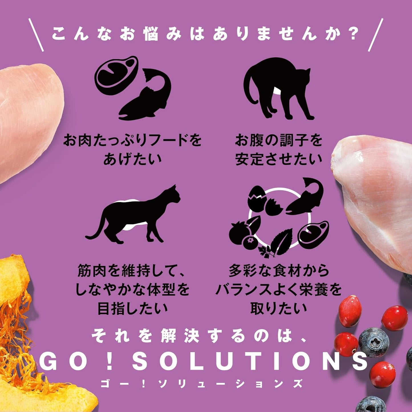 【お肉たっぷり】 GO! SOLUTIONS カーニボア キャットフード 500g 小粒 グレインフリー 高タンパク質 低糖質 全年齢 全猫種 チキン ターキー ダック [ゴーソリューションズ]