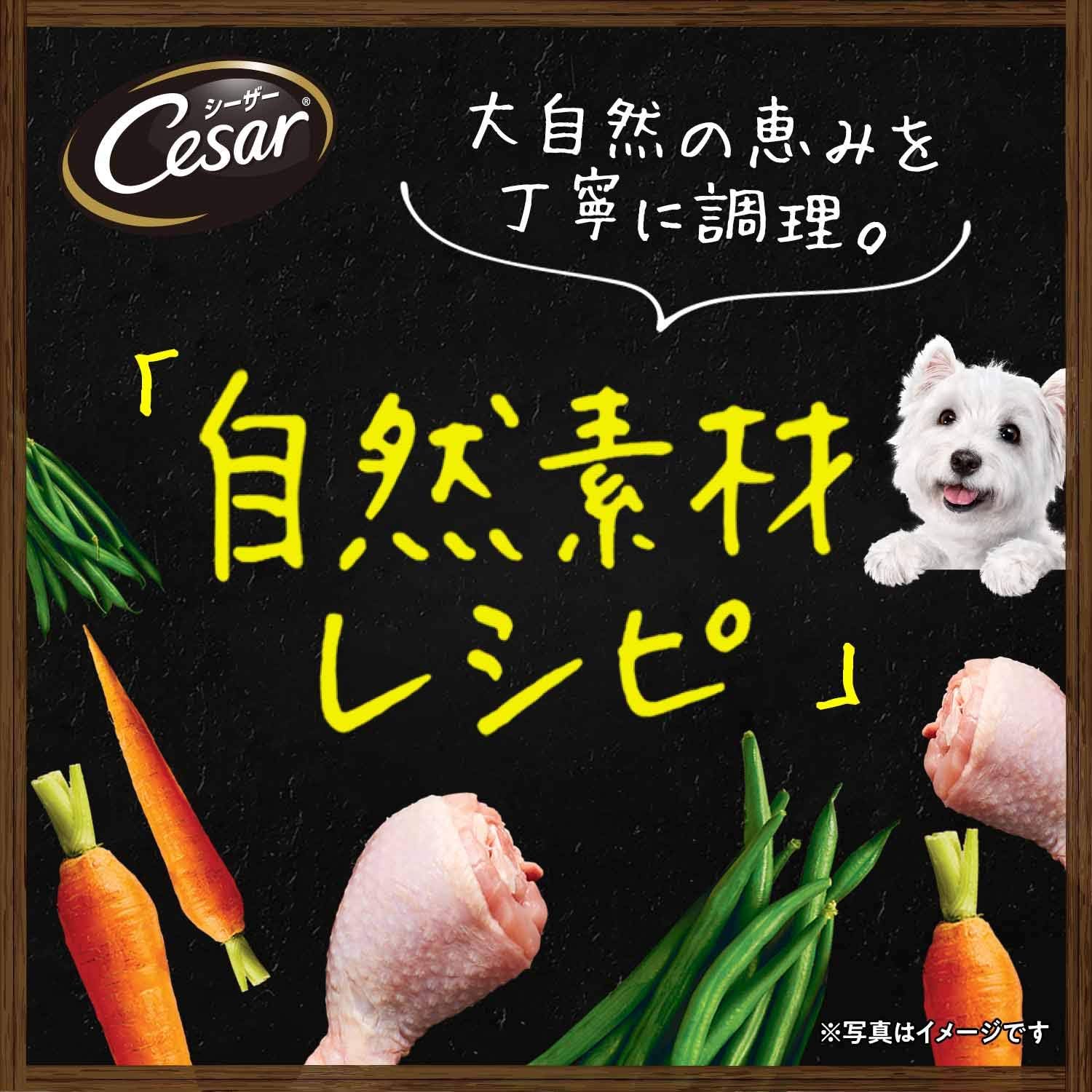 シーザー ドッグフード 自然素材レシピ サーモン&さつまいも・にんじん 成犬用 85g×7個 (まとめ買い)