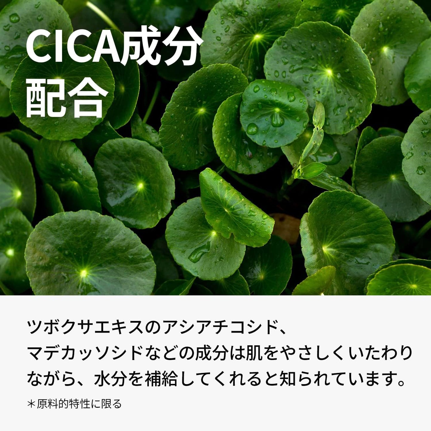 ワンシング （ONE THING）ツボクサエキス ツボクサ化粧水 150ml | さっぱり 混合肌 脂性肌 敏感肌 肌荒れ 赤み CICA シカ配合 ツボクサ 低刺激 高純度 高濃度 無添加 化粧水 乳液 スキンケア 韓国コスメ