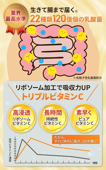 【現役医師と共同開発】セサミン30mg×リポソームVC100mg【医学誌掲載】セサミン＆ユーグレナ＋生きて腸まで届く乳酸菌 １袋 30日分