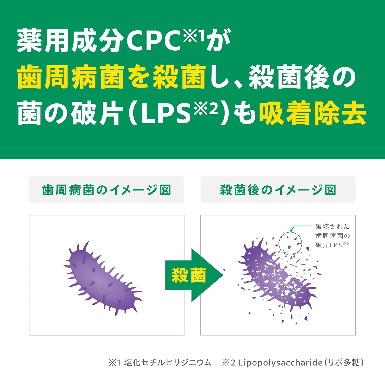 GUM(ガム) 【医薬部外品】歯周病予防 薬用ハミガキ デンタルペースト [レギュラータイプ ハーブミントタイプ] 120g×3個+おまけ付き