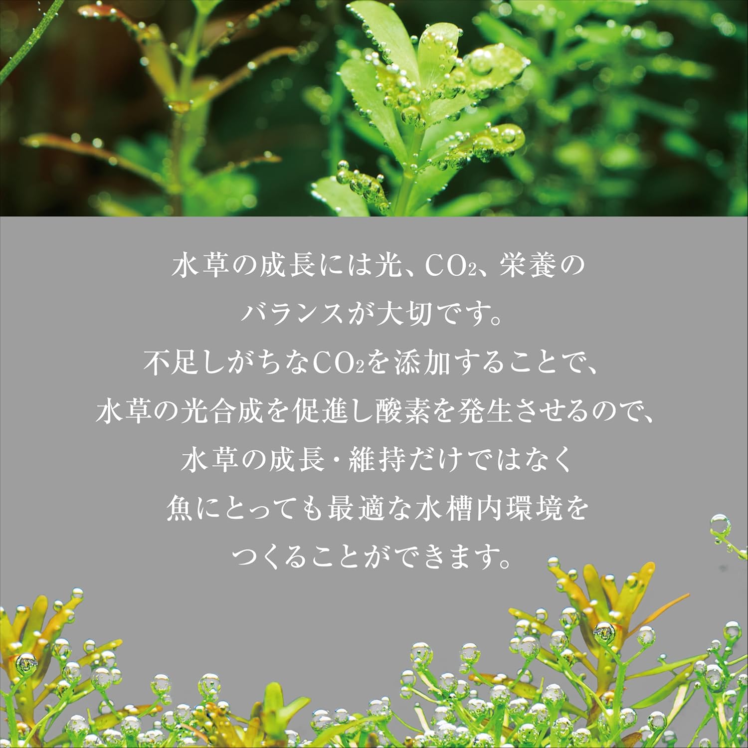 ジェックス BIO CO2 ブースターセット 4セット入 発酵式水草CO2システム 水草を強力育成 ディフューザー 水槽 二酸化炭素 水草成長 CO2発生