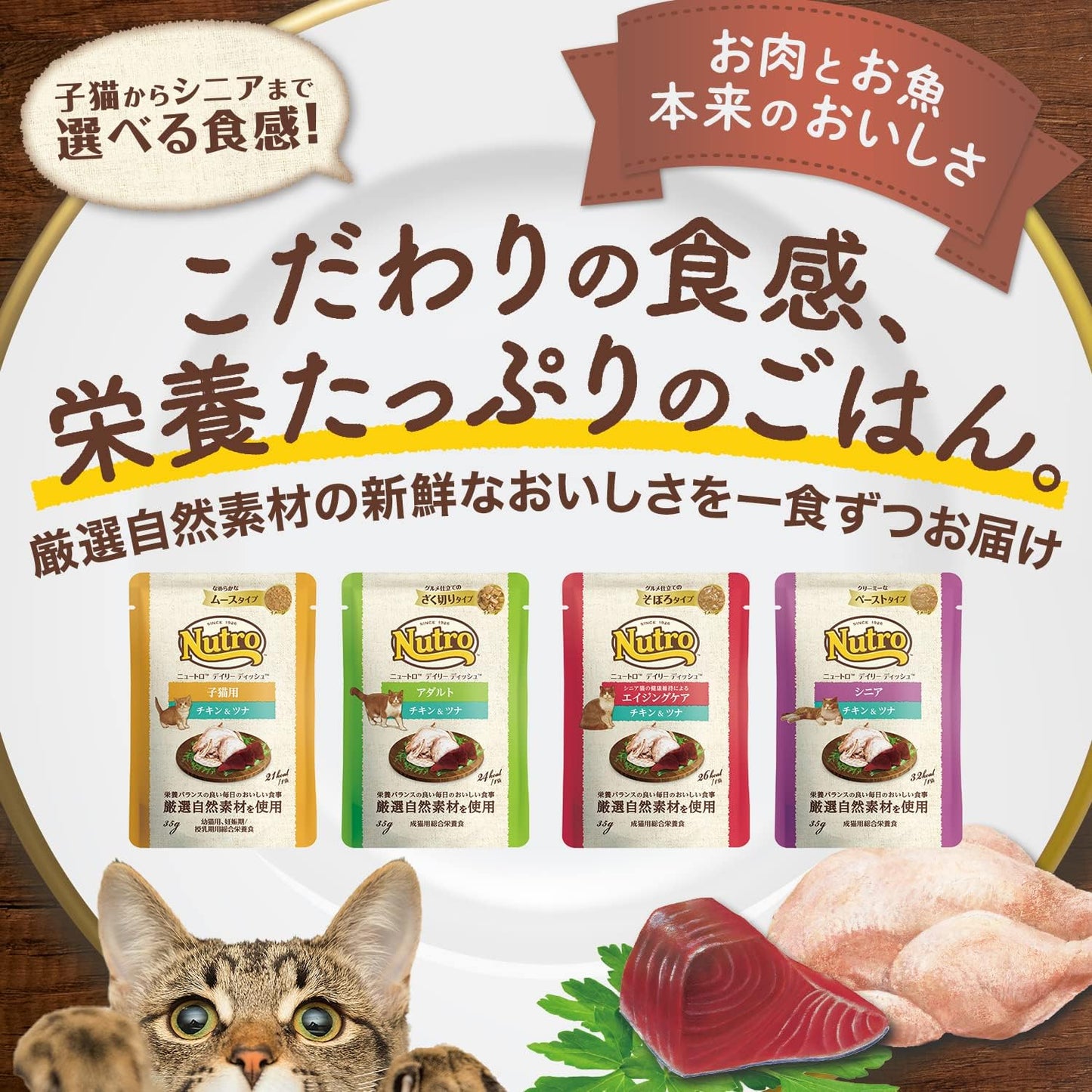 Nutro デイリーディッシュ ウェット なめらかムース  チキン&ツナ 子ねこ用 35g×12袋