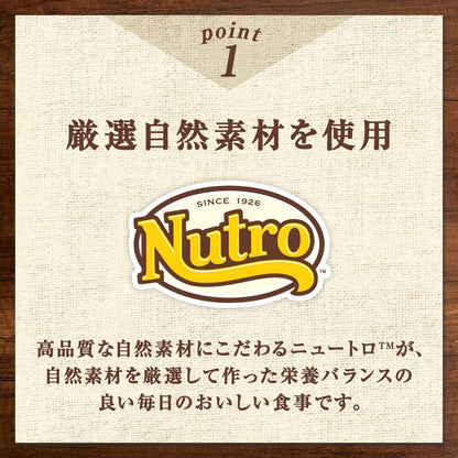 Nutro デイリーディッシュ ウェット なめらかムース  チキン&ツナ 子ねこ用 35g×12袋