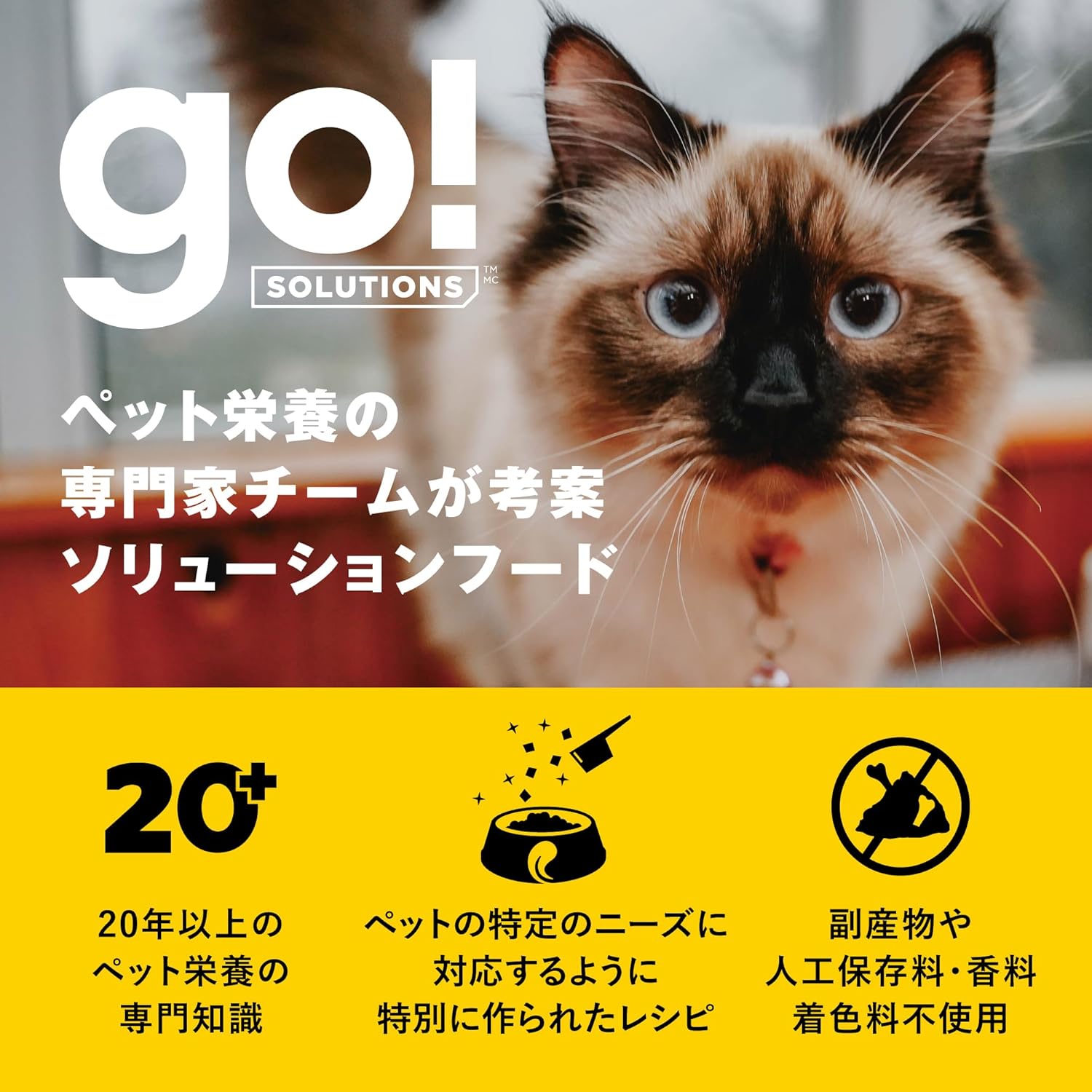 【お肉たっぷり】 GO! SOLUTIONS カーニボア キャットフード 500g 小粒 グレインフリー 高タンパク質 低糖質 全年齢 全猫種 チキン ターキー ダック [ゴーソリューションズ]