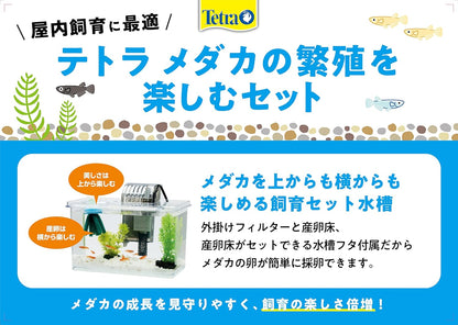 Tetra テトラ メダカの繁殖を楽しむセット S 水槽 アクアリウム 熱帯魚 メダカ 金魚