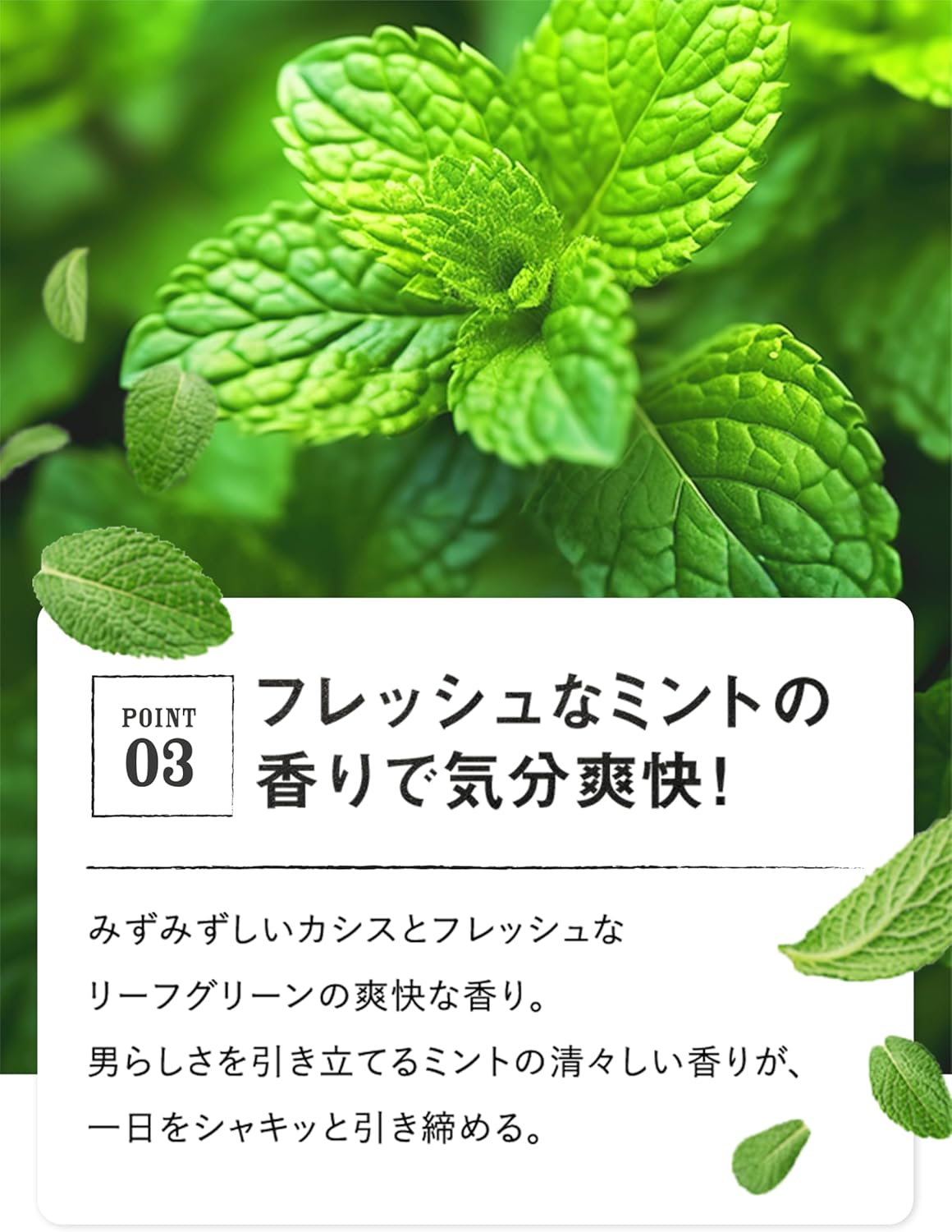 MARO(マーロ) 3Dボリュームアップシャンプー ジェントルミントの香り 詰替え用 760ml