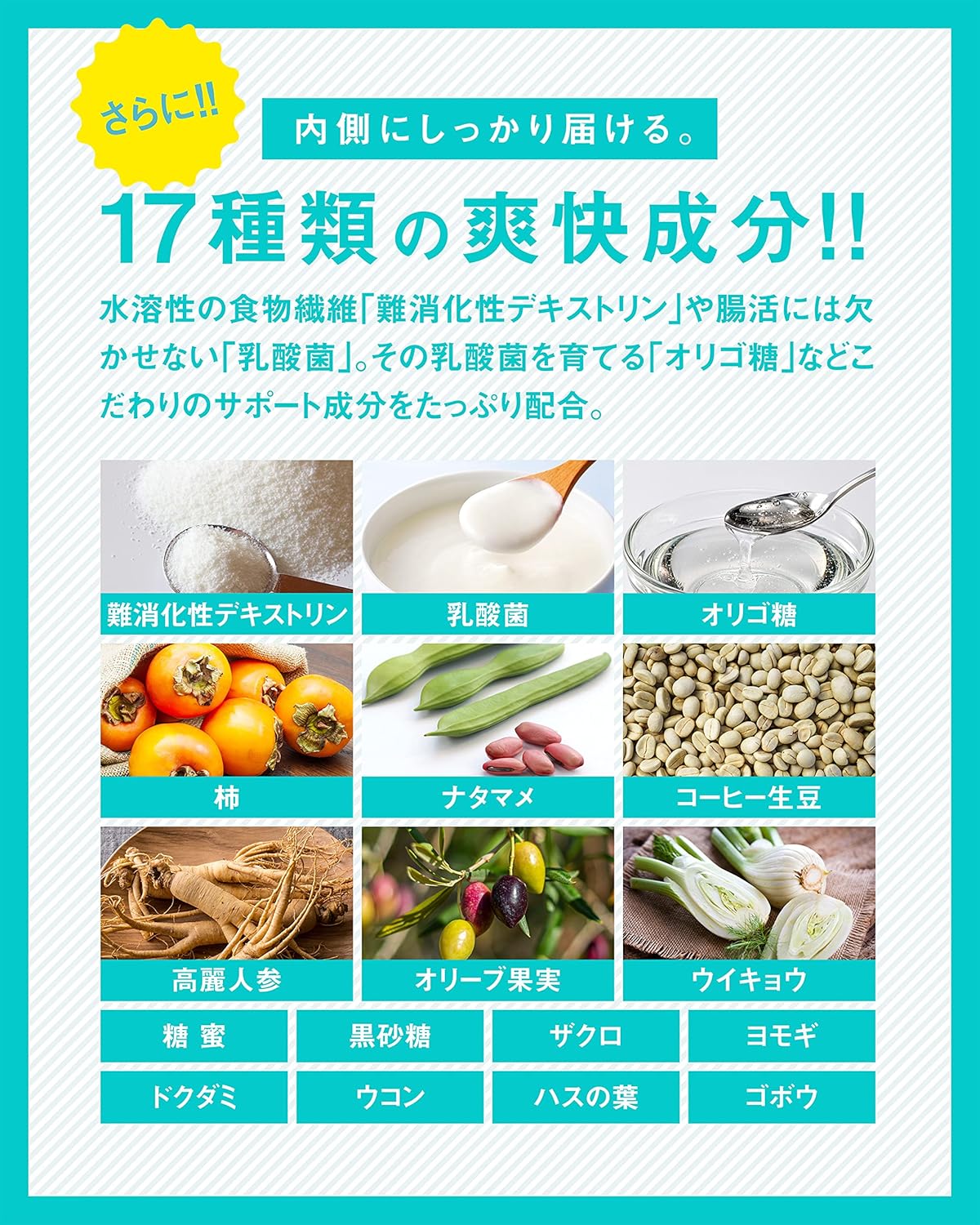 【医薬品発想】Dr.MUSHROOM 150倍濃縮シャンピニオン 業界最高水準（6,000mg/30日）サプリ 口臭ケア エチケット 栄養機能食品 30日分 国産 PRO GRADE FORMULA